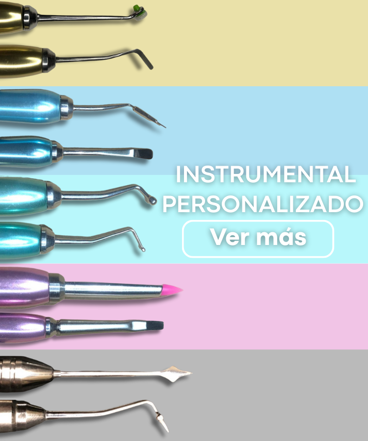 trinity banner (1) mobile